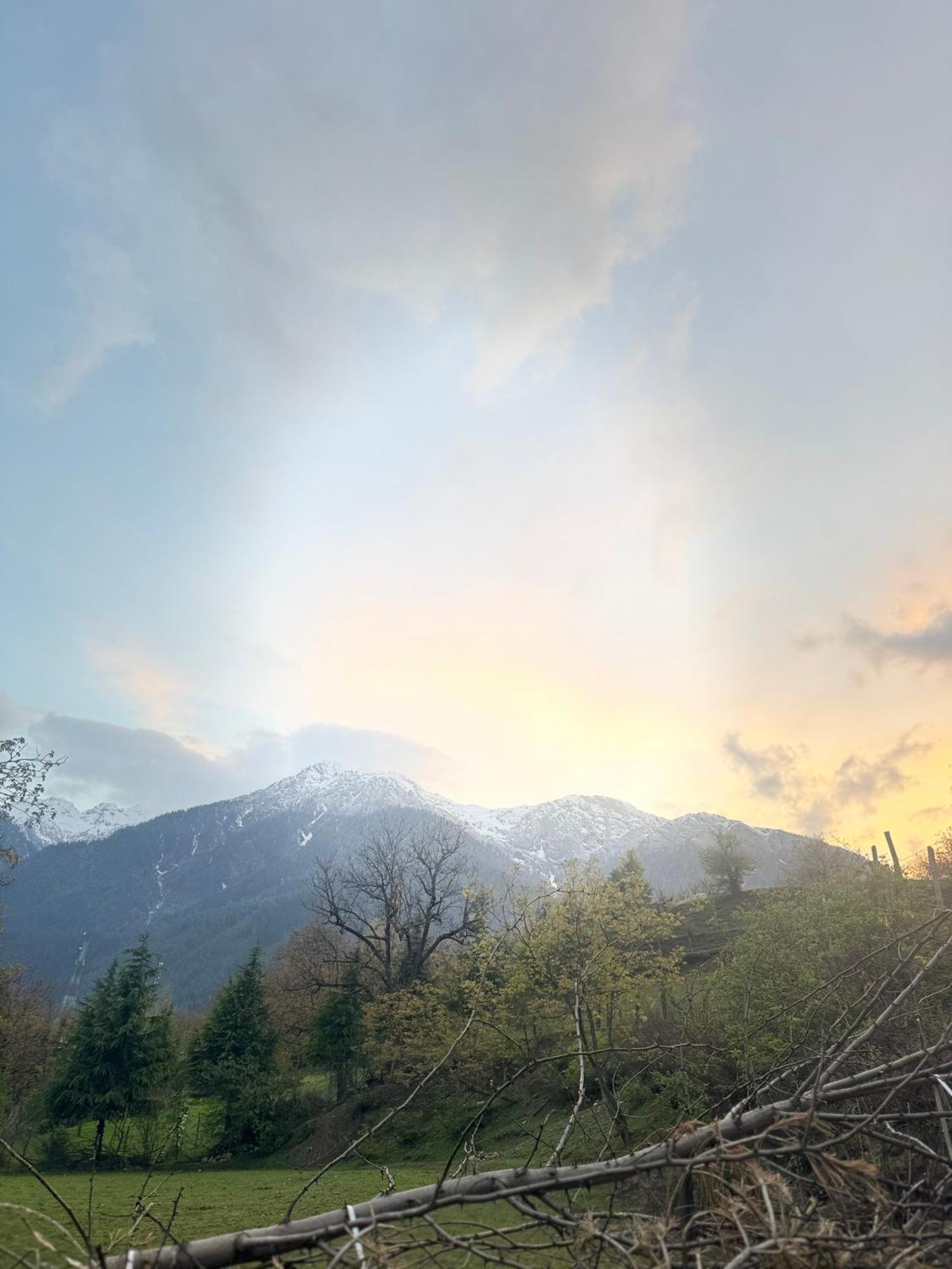 Dreamland Cottage Pahalgām Dış mekan fotoğraf
